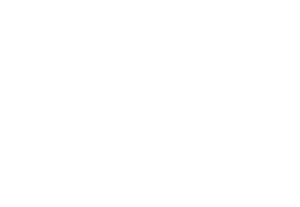 Campaign Brief